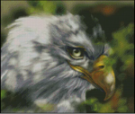 (image for) Eagle Profile